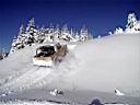 snow-bronco-46.jpg