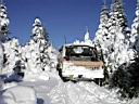 snow-bronco-65.jpg