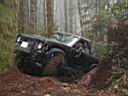 reiter-pit-07.jpg