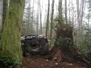 reiter-pit-09.jpg