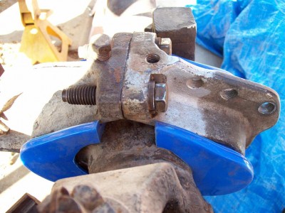 dana44 003 (Large).jpg