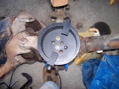 dana44 014 (Large).jpg