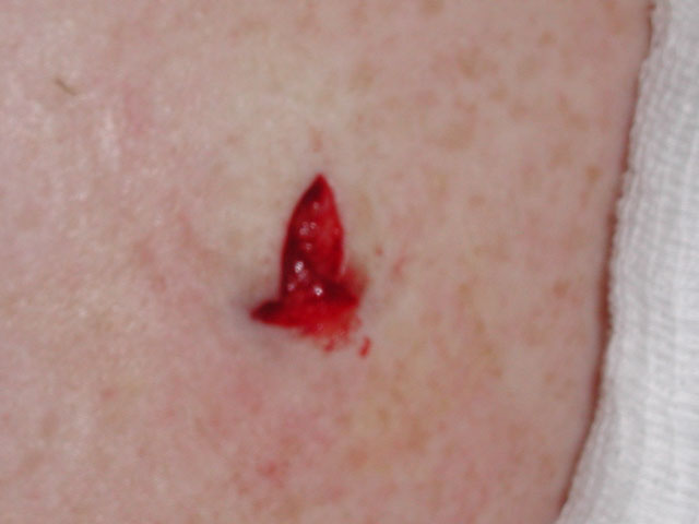 cut2.jpg