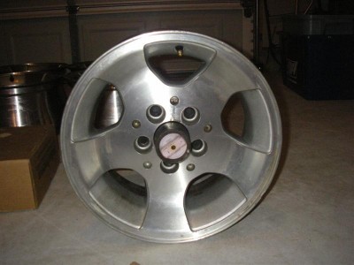IMGP0003 (Medium).jpg