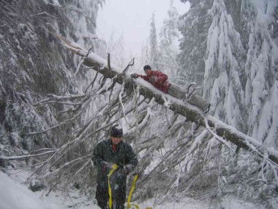 What we found on the way out, many down trees