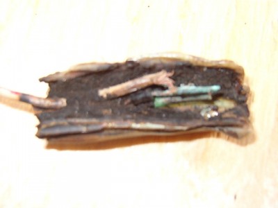 IM001945.JPG
