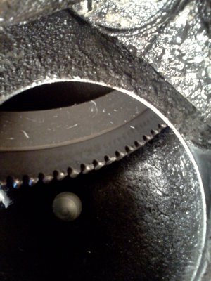 IMG_20110312_112721.jpg
