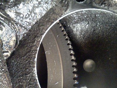IMG_20110312_112734.jpg