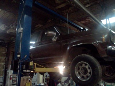 Looks so sad on the lift