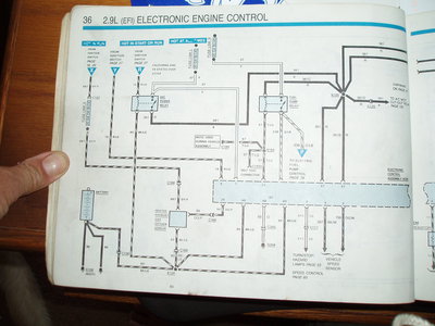 P9030001.JPG