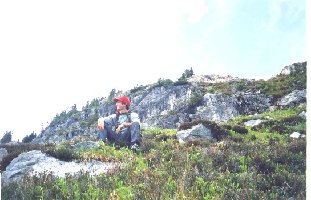 mara mt016.jpg