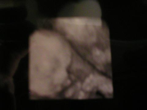 baby 007.jpg