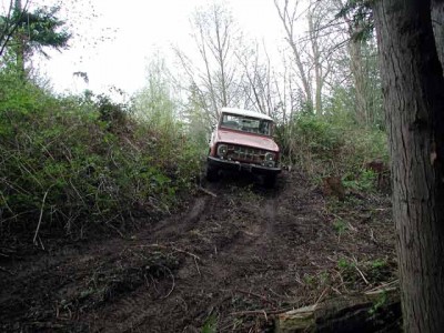 bronco-3.jpg