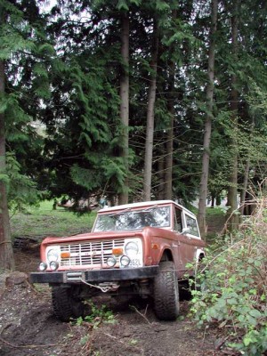 bronco-2.jpg