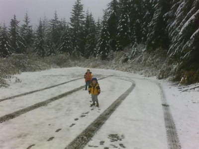 Coal Lake Snow 3 (Custom).JPG