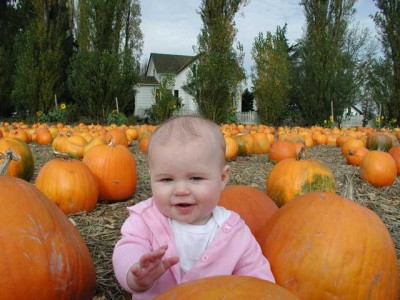 pumpkin.jpg