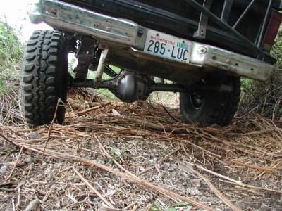 rear1.jpg