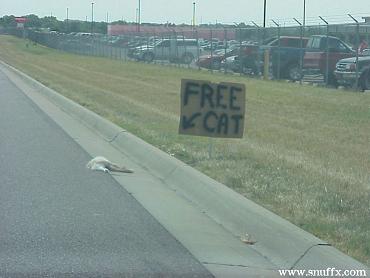 freecat.JPG