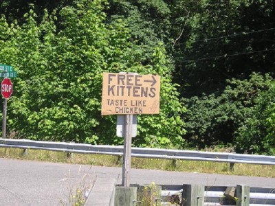cats.JPG (101.89 KiB) Viewed 3380 times cats.JPG